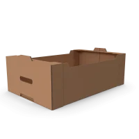Cardboard Box.H03.2k